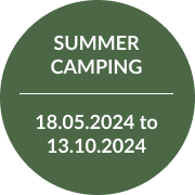 Summer Camping